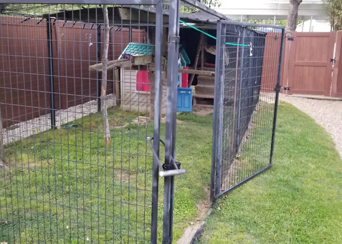 Private Pet Friendly Home Near Exotic Deer Farm Close To Pigeon Forge, Gatlinburg Tn