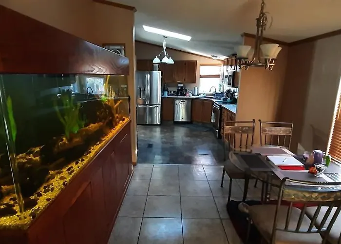 Private Pet Friendly Home Near Exotic Deer Farm Close To Pigeon Forge, Gatlinburg Tn