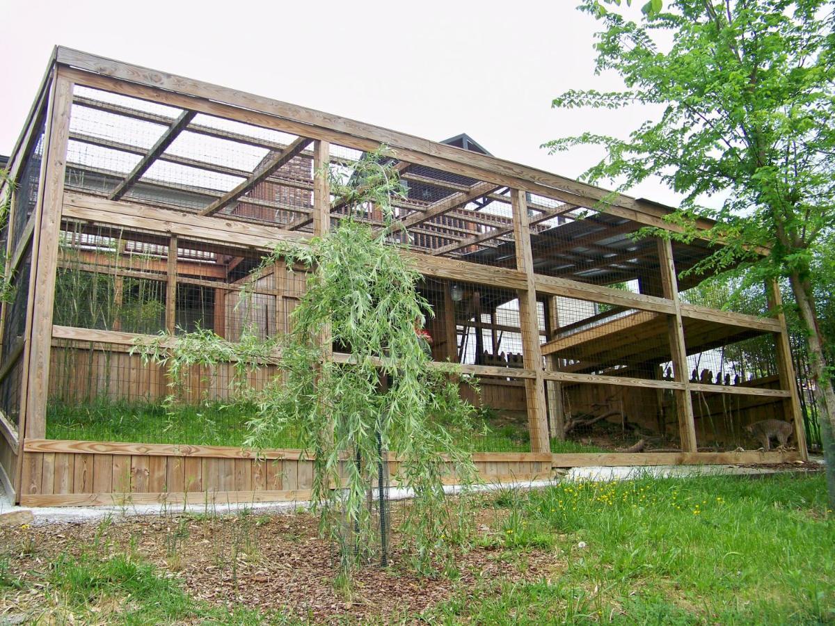 Private Pet Friendly Near Exotic Deer Farm Close To Pigeon Forge, Gatlinburg Tn Holiday home