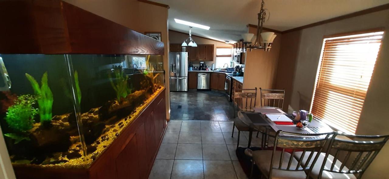 Private Pet Friendly Near Exotic Deer Farm Close To Pigeon Forge, Gatlinburg Tn *